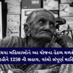 ગંગા સ્વરૂપા વિધવા પેન્શન સહાય યોજના